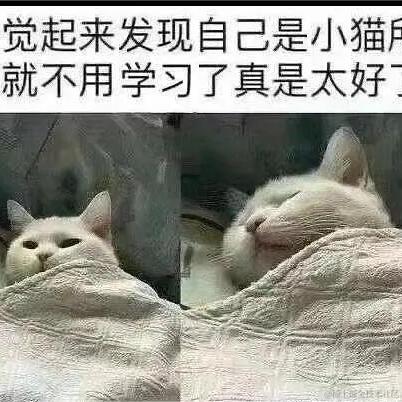 木讷的树a于2023-08-17 15:12发布的图片