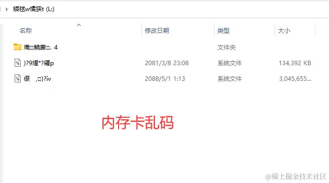 内存卡乱码故障深度解析与应对策略