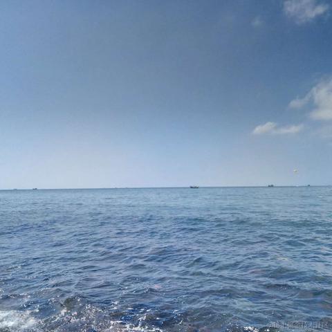 西西柚子木于2020-10-09 09:50发布的图片