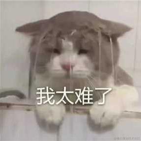 sherk于2022-07-08 09:01发布的图片