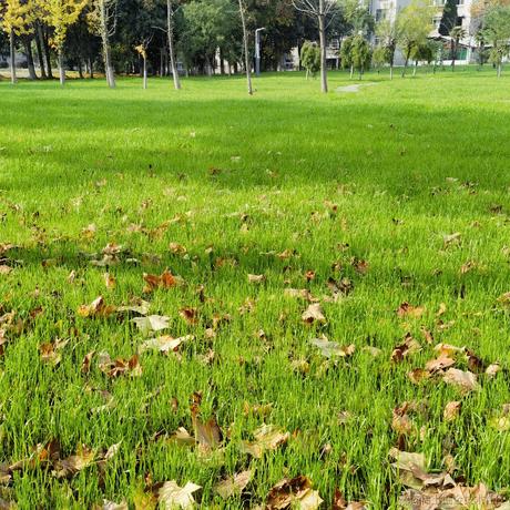 乃王木木睡醒了于2022-12-08 22:09发布的图片