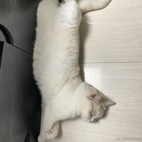 点点是只猫于2022-11-17 23:52发布的图片