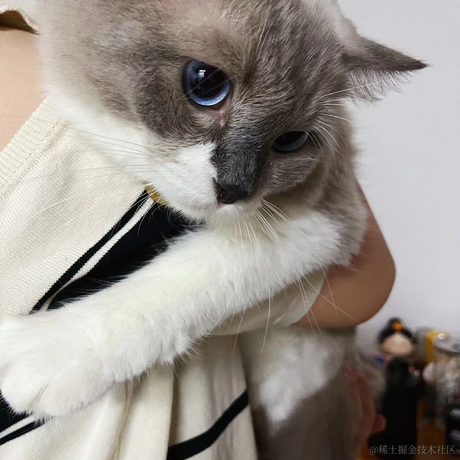 小白是天才于2023-06-30 21:35发布的图片