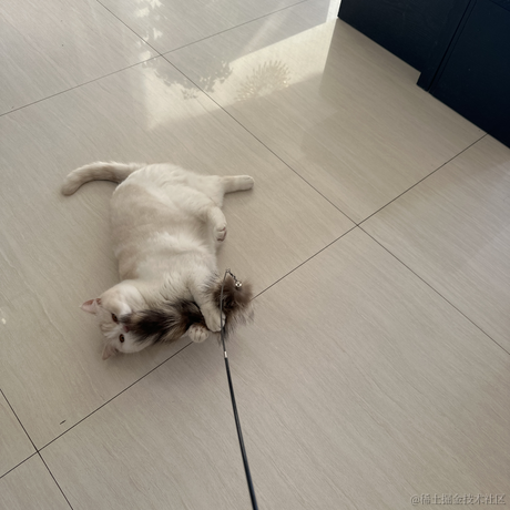 点点是只猫于2023-01-20 08:26发布的图片