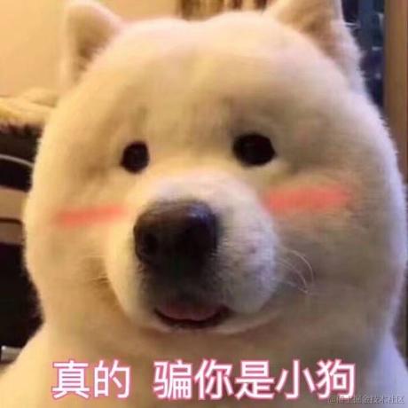 薛定谔的王于2021-10-20 11:02发布的图片