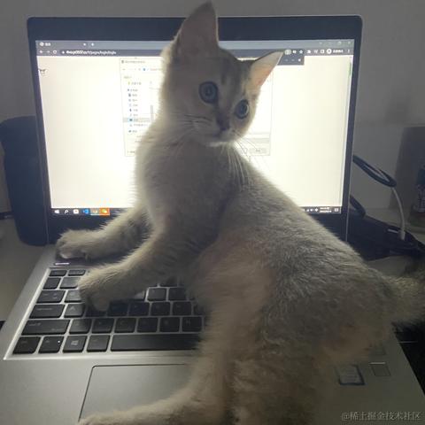 UNdefined于2022-06-14 14:58发布的图片