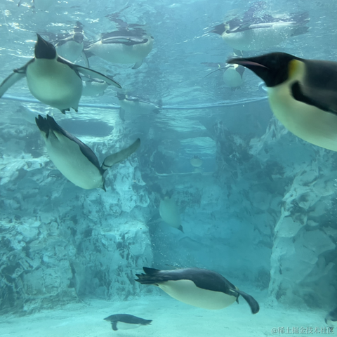 我是个靓崽于2023-04-23 22:39发布的图片