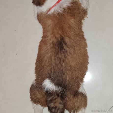 薄岁于2023-06-27 09:20发布的图片