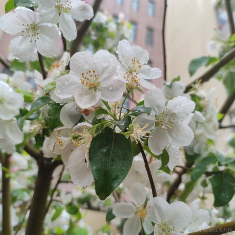 用户1008683613726于2023-05-04 20:20发布的图片