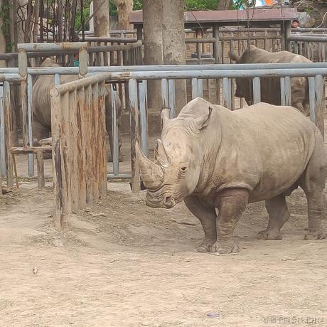 爷傲_奈我何于2023-06-20 07:48发布的图片