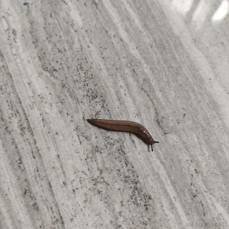 很难不是顶碗人于2023-06-26 20:44发布的图片