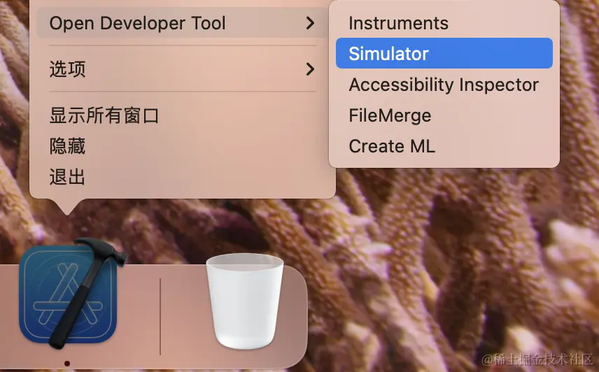 ios17开发者模式.png