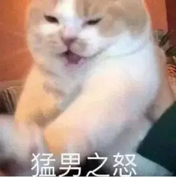 企业微信截图_20240119123320.png