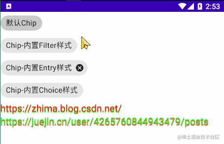 Chip和ChipGroup效果1.gif