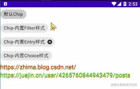 Chip和ChipGroup效果1.gif
