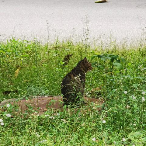 Yj家的孺子牛于2022-11-15 23:43发布的图片