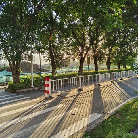 心愛今天吃什么于2023-06-20 06:38发布的图片