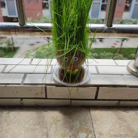 Courage11于2023-04-15 12:07发布的图片