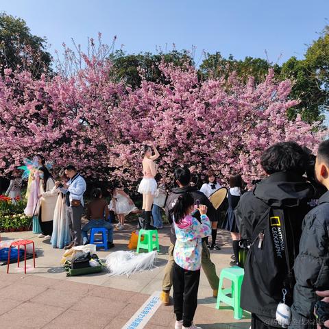 程序员柳随风于2023-03-14 09:34发布的图片