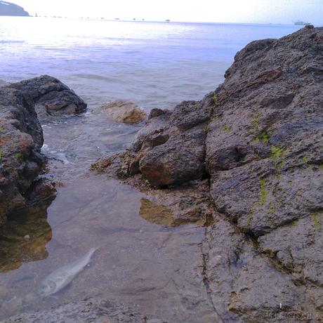 半月转转于2022-12-06 10:16发布的图片