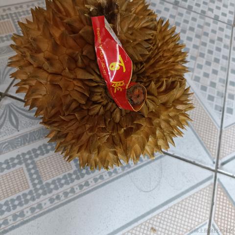 先活着再生活于2023-05-28 15:48发布的图片