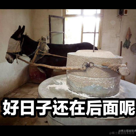 人类高质量程序员于2022-06-12 23:35发布的图片