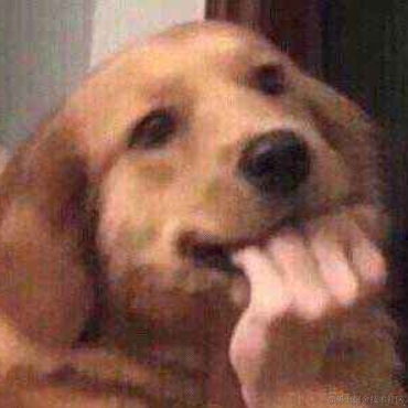 行云创新于2022-01-05 09:59发布的图片