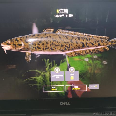 rain2333于2022-11-17 18:52发布的图片