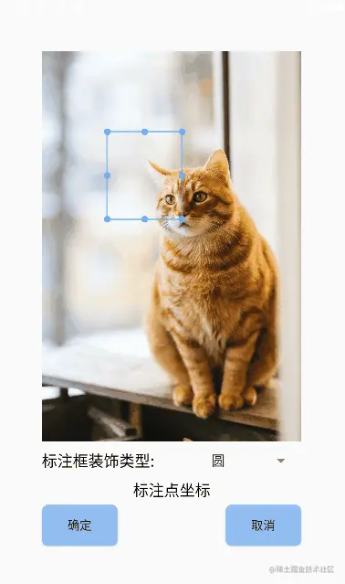 算法标注框-演示.gif