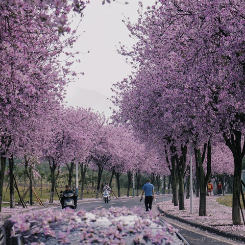 秋秋11于2023-04-19 20:04发布的图片