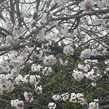 用户7316082562687于2023-03-31 14:49发布的图片