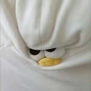 午夜狂鸽于2022-11-29 07:54发布的图片