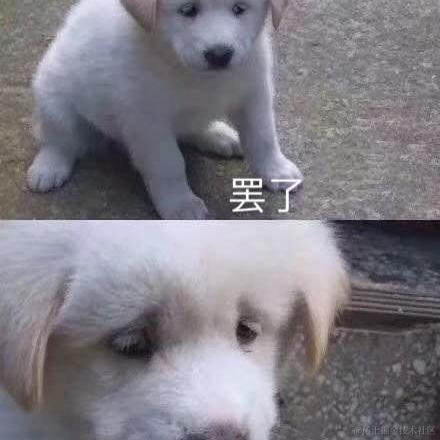 树洞robot于2020-08-10 11:16发布的图片