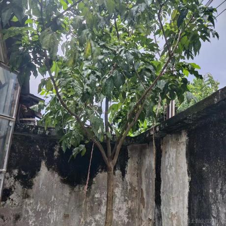 向晚大猪猪于2023-06-23 16:34发布的图片