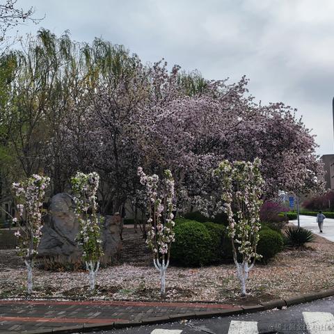 野味道峩少男于2023-04-07 23:59发布的图片