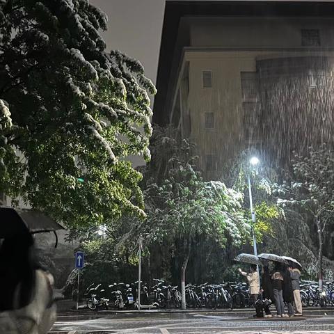 天空之城53于2023-04-22 10:32发布的图片