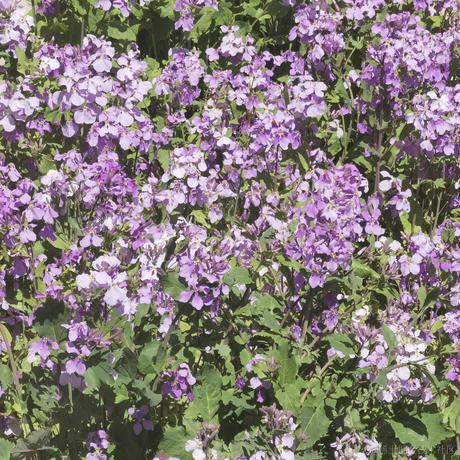 damage7于2023-04-09 13:27发布的图片