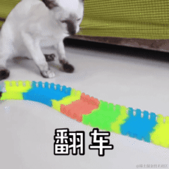 用户1474709411822于2022-11-13 14:07发布的图片