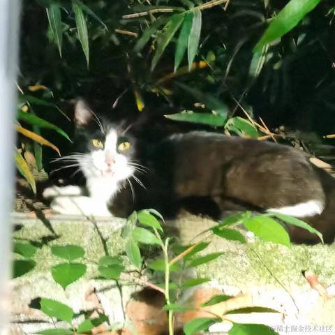 JellyfishX于2023-06-21 10:09发布的图片