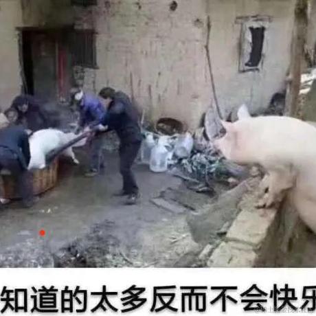 yuobey于2020-09-10 08:00发布的图片