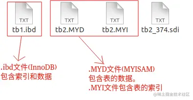 MySQL 表的文件