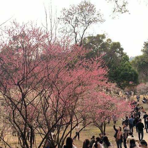 小突击于2023-02-27 16:58发布的图片