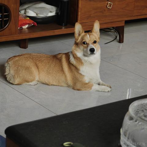 Buda于2022-12-11 23:56发布的图片