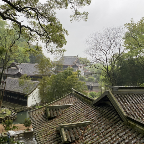 风中的诗于2023-04-13 10:20发布的图片