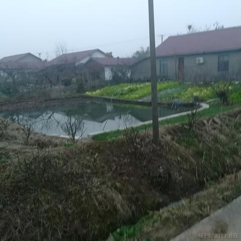 TheWQ于2022-07-06 10:05发布的图片