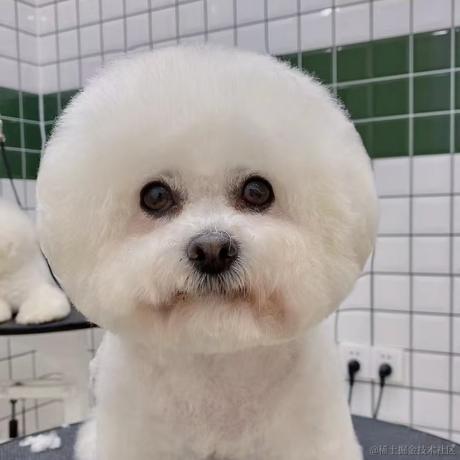 理想国579于2022-12-05 10:17发布的图片