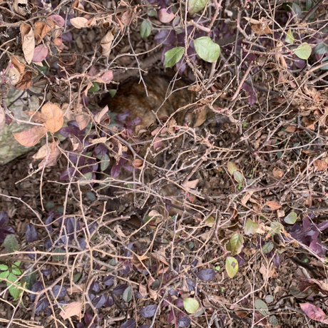 别町星灯于2023-05-05 23:42发布的图片