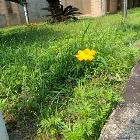 兔子加油于2023-05-20 10:29发布的图片