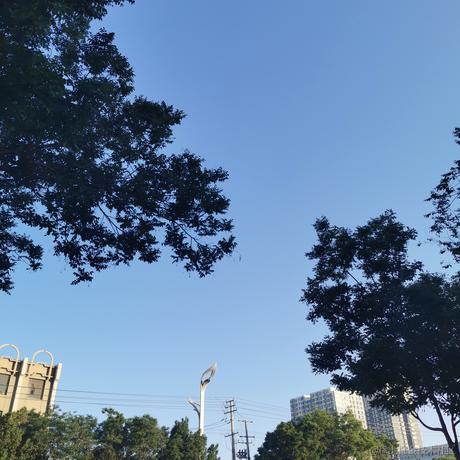 moreThan于2021-05-18 07:47发布的图片