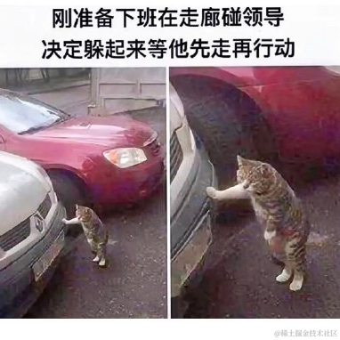 安逸的咸鱼于2021-11-26 16:17发布的图片
